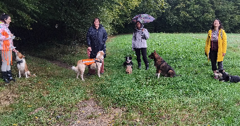 elodie pet sitter à LIEVIN 62800_2