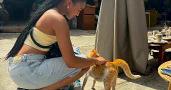 mahé pet sitter à PARIS 12 75012_1