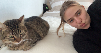 nancy pet sitter à NANCY 54000_4