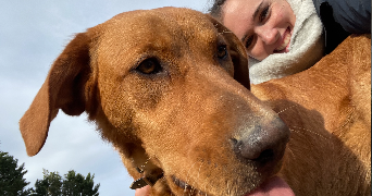 charlotte pet sitter à AVRILLE 49240_3