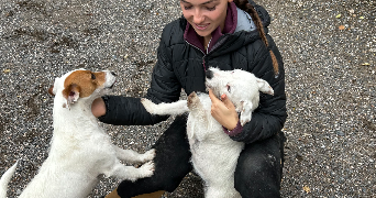 salomé pet sitter à SEVRIER 74320_2