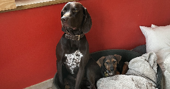 leonor pet sitter à VERSAILLES 78000_7