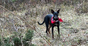 laetitia pet sitter à MARSEILLE 11 13011_2