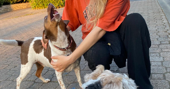 emma pet sitter à RENNES 35700_1