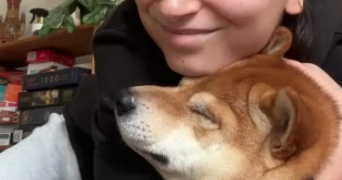 elianor pet sitter à PARIS 10 75010_5