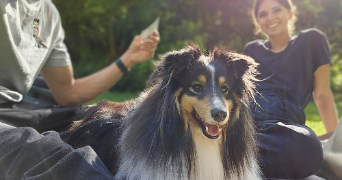 jeremy pet sitter à BAGNEUX 92220_1