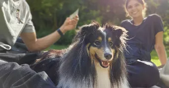 jeremy pet sitter à BAGNEUX 92220