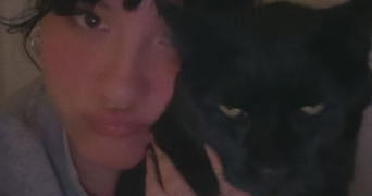 séphora pet sitter à CAULNES 22350_2