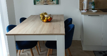 leila cat sitter à ARGENTEUIL 95100_4