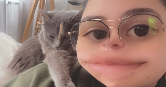 venise pet sitter à LAMBERSART 59130_2