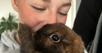 clara pet sitter à FLINES LEZ RACHES 59148_1