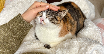 laura pet sitter à LEVALLOIS PERRET 92300_7