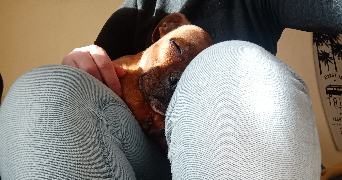 ségolène pet sitter à CUSTINES 54670_2