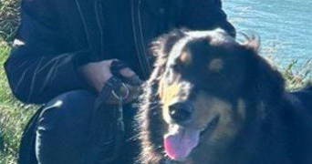 mahan pet sitter à ROUEN 76000_1