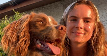 dorothy dog sitter à PLOEMEUR 56270_0