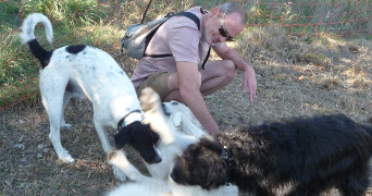 didier pet sitter à DRAGUIGNAN 83300_2