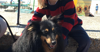 charles pet sitter à BOULOGNE BILLANCOURT 92100_9