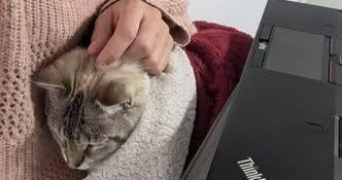 marion pet sitter à INDRE 44610_1