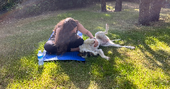 alma pet sitter à PARIS 17 75017_2
