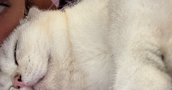 kenza pet sitter à ROSNY SOUS BOIS 93110_2