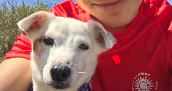 ruben pet sitter à AGDE 34300_2