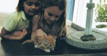 caroline cat sitter à MUZILLAC 56190_2