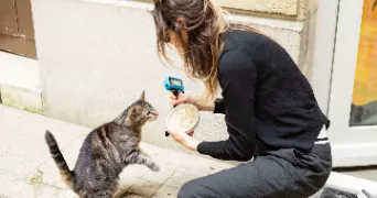 justine  pet sitter à NEUILLY SUR SEINE 92200