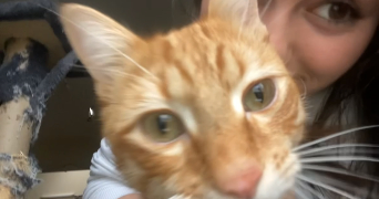 léane pet sitter à NANTES 44000_3