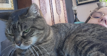 camille pet sitter à VILLEURBANNE 69100_3