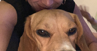 marion pet sitter à WAMBRECHIES 59118_1