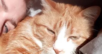 amance pet sitter à ISSY LES MOULINEAUX 92130