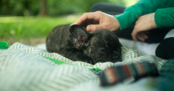laura pet sitter à PARIS 18 75018_2