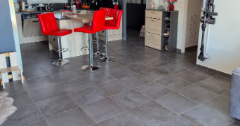 cécilia pet sitter à VILLEMUR SUR TARN 31340_3