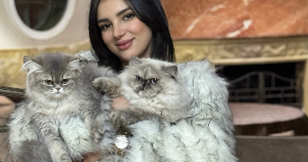 tima pet sitter à BRETIGNY SUR ORGE 91220_2