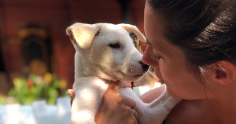 lola pet sitter à ST MALO 35400_2