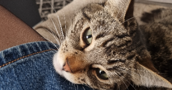 noémie pet sitter à Villeurbanne 69100_2