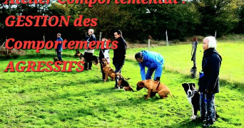 andrea pet sitter à PARIS 11 75011_5