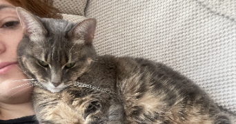 samantha pet sitter à FREJUS 83600_2