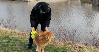 mahan pet sitter à ROUEN 76000_1