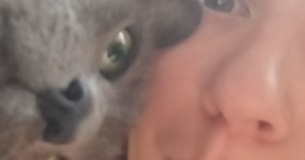 anastasia pet sitter à MONTESSON 78360_0