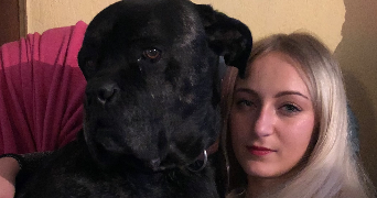 abbygail pet sitter à ANCY DORNOT 57130_1