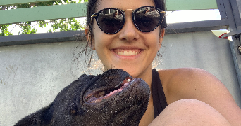 chiara pet sitter à QUIMPER 29000_6