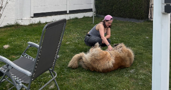 clémence pet sitter à GENNEVILLIERS 92230_4