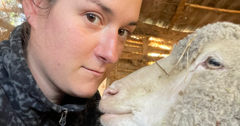 morgane pet sitter à VILLEFRANQUE 65700_11