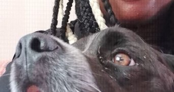 stella pet sitter à GUYANCOURT 78280_0