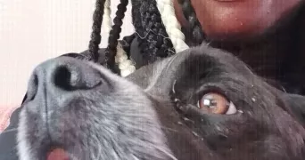 stella pet sitter à GUYANCOURT 78280