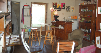 denis pet sitter à EPINAC 71360_3