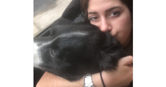 carlo et pet sitter à MAZAUGUES 83136_8