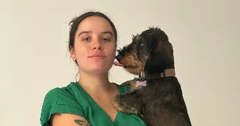 jade pet sitter à ANSE 69480