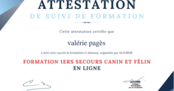 valérie pet sitter à Le Thor 84250_47